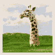 RusCrus